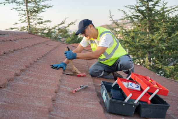 Best Local Roofing Companies  in Gibson City, IL