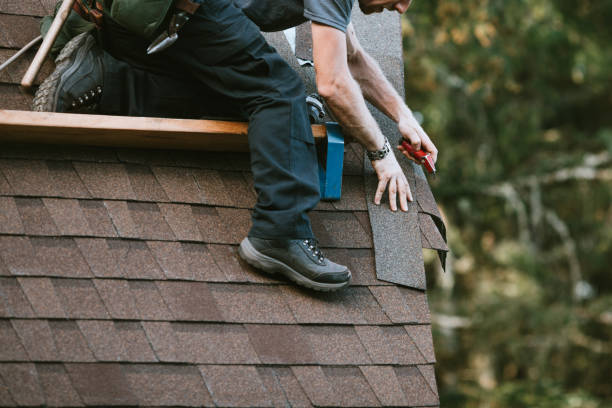 Best Sealant for Roof  in Gibson City, IL